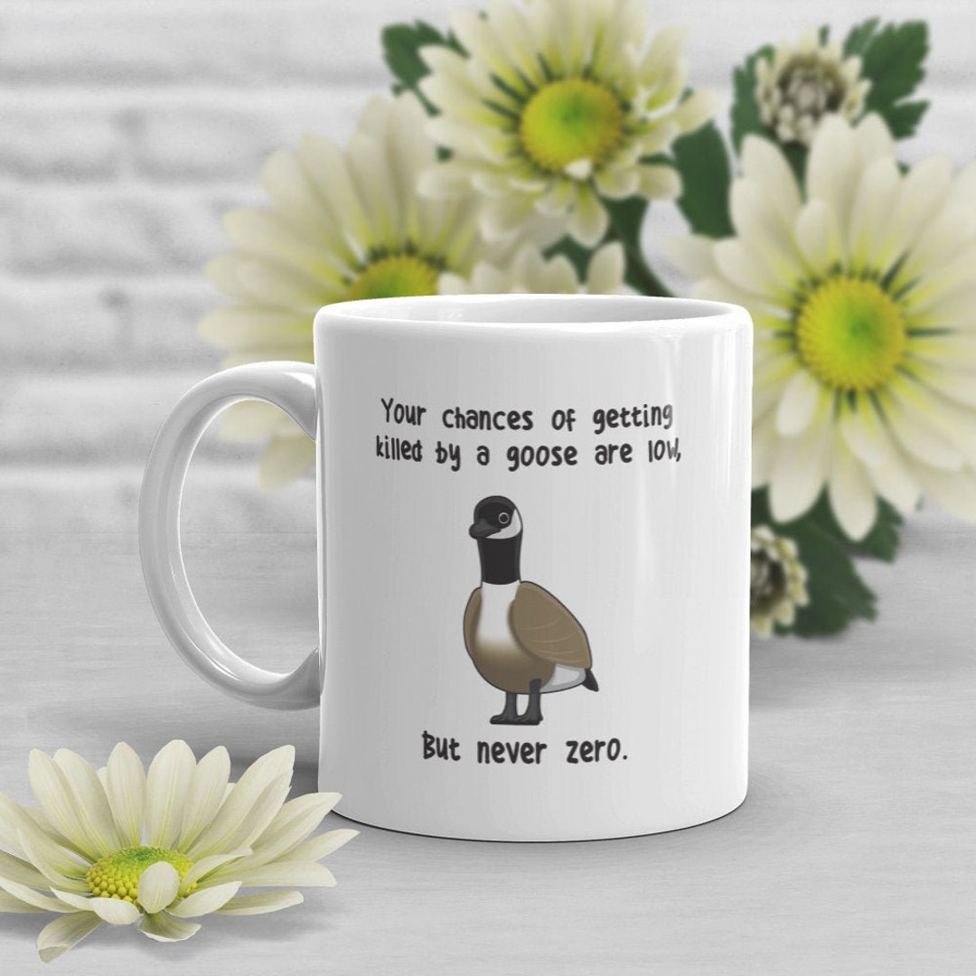 El regreso de los ibis: estos biólogos están enseñando a migrar a una  bandada hacia Cádiz | Ciencia | EL PAÍS, image size:1080x1080