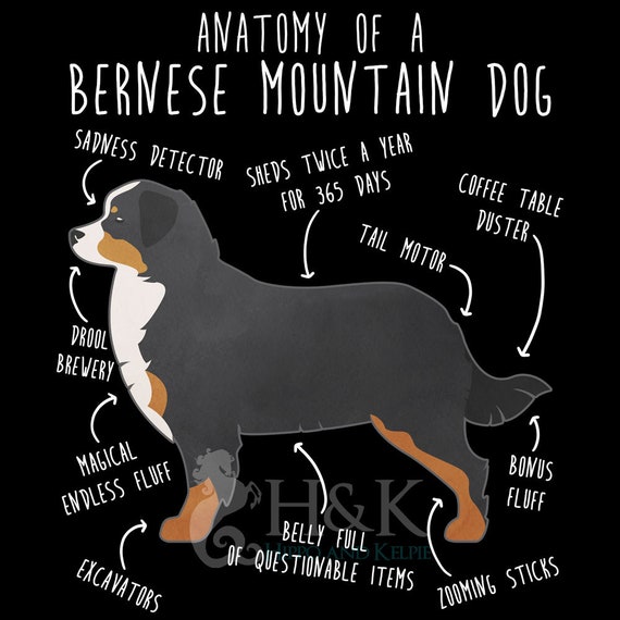 Dog Owner Gifts Bernese Mountain Dog Funny Dog T Shirt Dog Owner Gifts Bernese Mountain Dog Funny Dog T Shirt