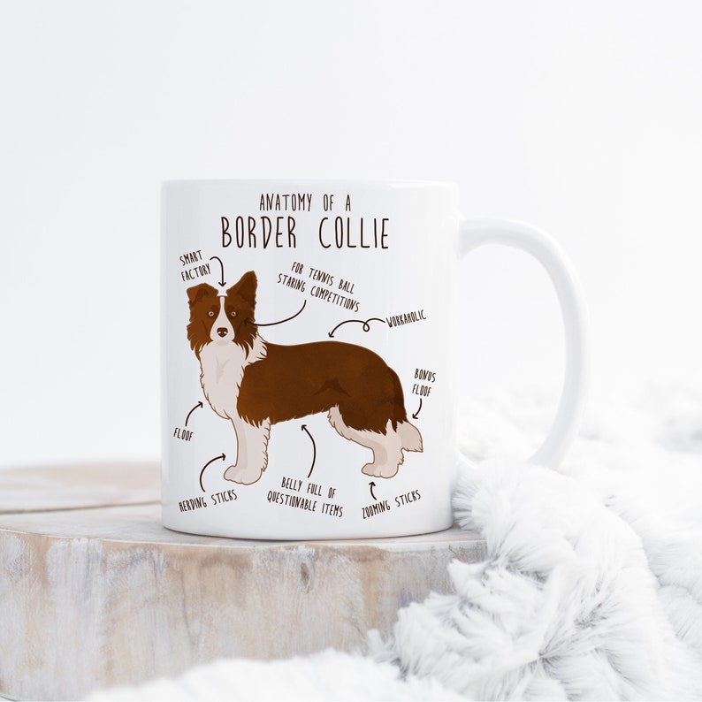 May include: White ceramic mug featuring a brown and white border collie illustration. The mug has the text "Anatomy of a Border Collie" and humorous descriptions of the dog's body parts, such as "Smart Factory", "Belly Full of Questionable Items", and "Floof".