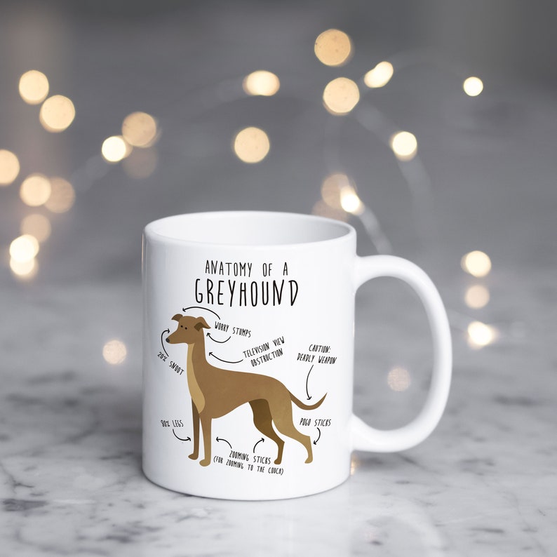 Greyhound Coffee Mug, Cute Fawn Greyhound Gift, Dog Lover, Funny Dog Gift for Her, Him, Pet Animal Cup, Dog Mom, Dog Dad, Dog Anatomy image 9