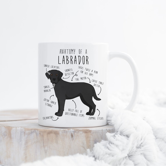 Black lab items sale
