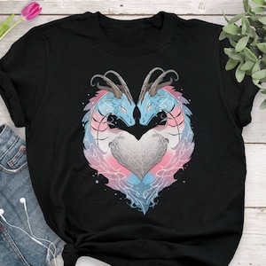 Transgender Pride Shirt, Trans Pride Gift, LGBT T-shirt, Gay Pride Month Festival, LGBTQ, Trans Flag, Subtle, Pride Dragon