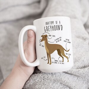 Greyhound Coffee Mug, Cute Fawn Greyhound Gift, Dog Lover, Funny Dog Gift for Her, Him, Pet Animal Cup, Dog Mom, Dog Dad, Dog Anatomy image 3