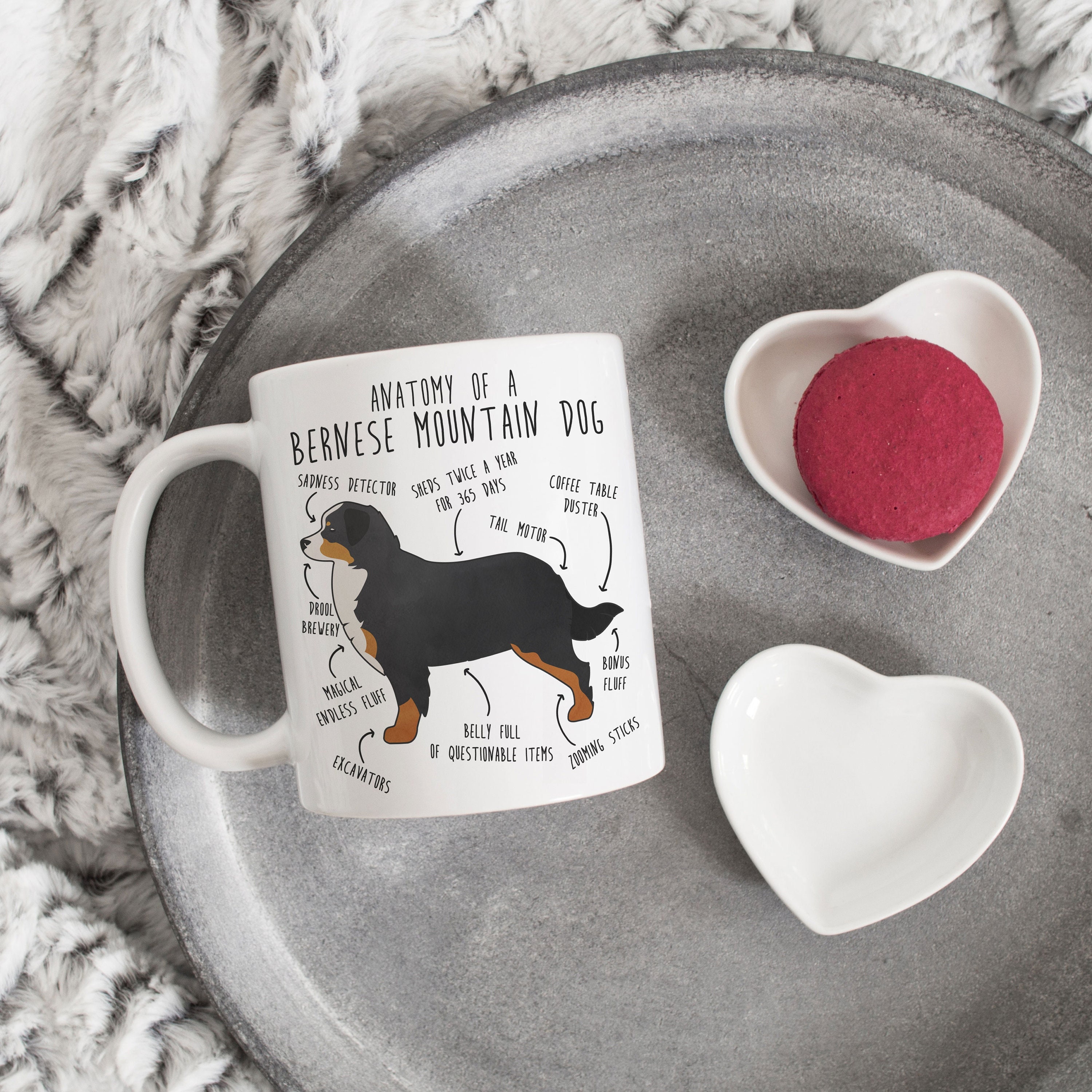 Printplanet Hundetasse Mit Berner Sennenhund Motiv – 325 Ml, Spülmaschinenfest, Aus Hochwertigem Steingut