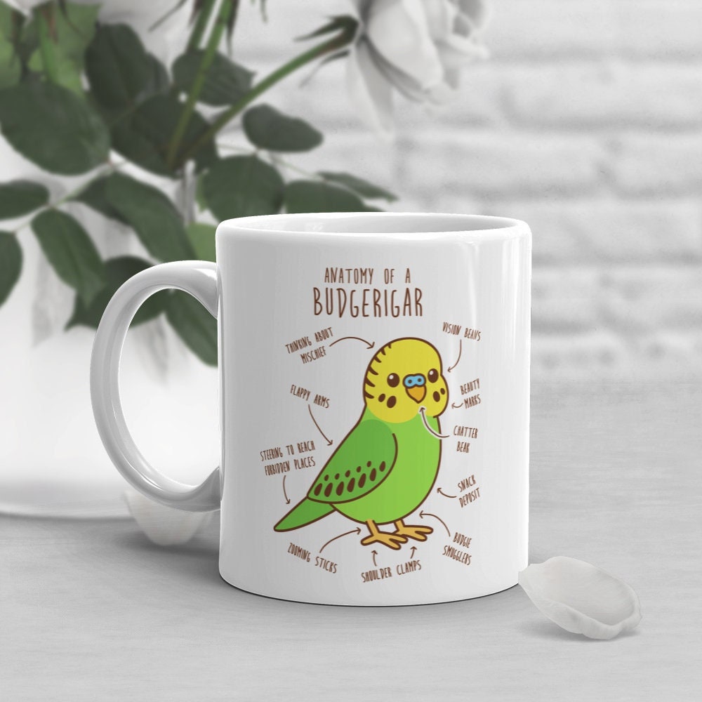 Make-up-Tasche Mit Papageien-Motiv – Geschenk Für Vogel-Liebhaber, 25 X 17 Cm, Doppelseitig Bedruckt