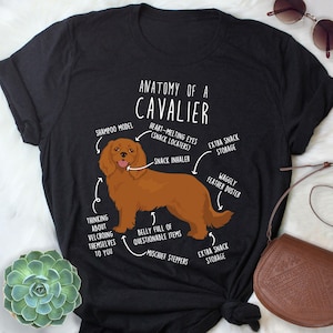 Może przedstawiać: Czarny T-shirt z humorystyczną ilustracją Cavalier King Charles Spaniela. Ilustracja jest opisana cechami anatomicznymi, takimi jak "Model szamponu", "Wdychacz przekąsek" i "Wibrujący kurzak piórkowy".