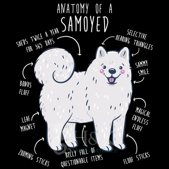 Funny Samoyed Puppy In Pocket T Shirt Gift For Women Men Funny Samoyed Puppy In Pocket T Shirt Gift For Women Men