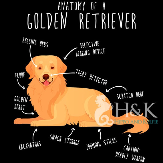T-shirt Donna Personalizzabile 'Mamma Del Miglior Golden Retriever Del Mondo' Con Nome Del Cane, 100% Cotone, Taglie S-XL