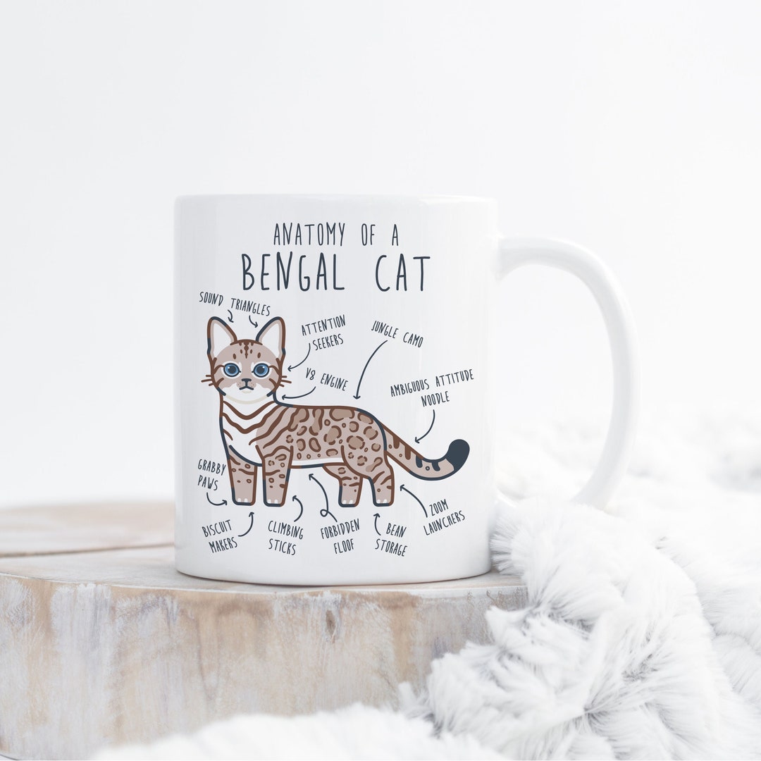 Tazze Divertenti GATTO - Odio La Gente Al Attino. Il Gadget Regalo Per - 4