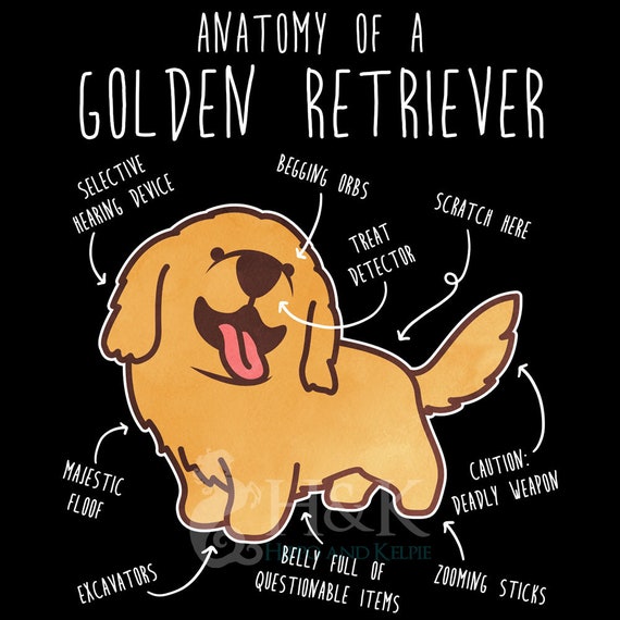 T-shirt Donna Personalizzabile 'Mamma Del Miglior Golden Retriever Del Mondo' Con Nome Del Cane, 100% Cotone, Taglie S-XL