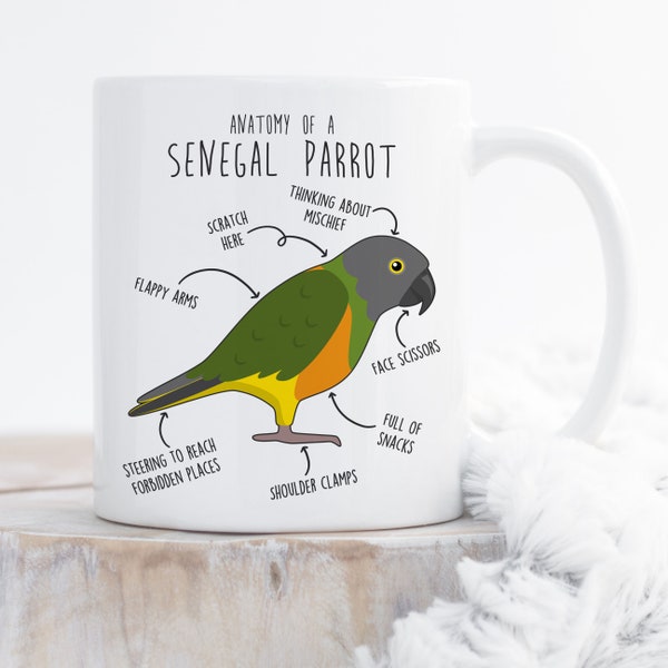 Senegal Parrot Coffee Mug, Cute Pet Parrot Gift, Bird Lover, Funny Cup Gift, Senegal Parrot Mom, Parrot Dad, Anatomy, African Poicephalus