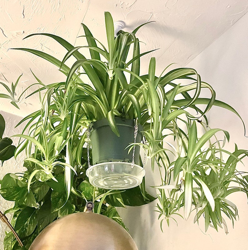 Hanging Planter Drip Tray Water Catcher Etsy