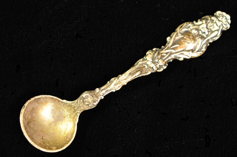 Vintage Silver Spoon
