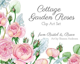 Cottage Garden Roses Clip Art Set