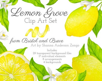 Lemon Grove Watercolor Clip Art Set