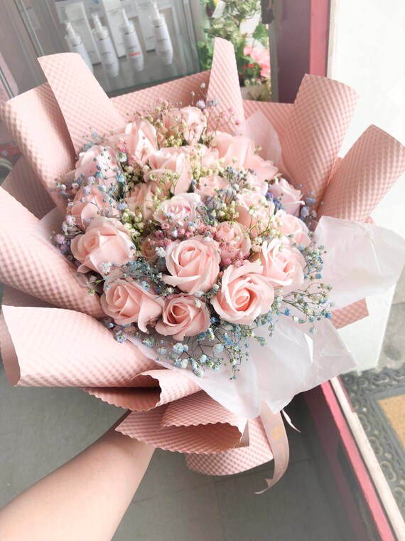 baby pink roses