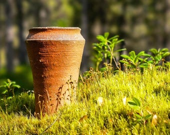 Taza de té Shigaraki yunomi con caja original del artista contemporáneo Tani Q