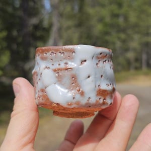 Tamaoki Yasuo shino sake cup guinomi Japanese sakeware