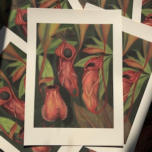 Oil Painting Spider Plant Live - Etsy