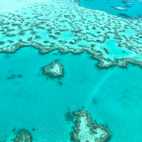 Heart Reef at the Great Barrier Reef of the Whitsundays