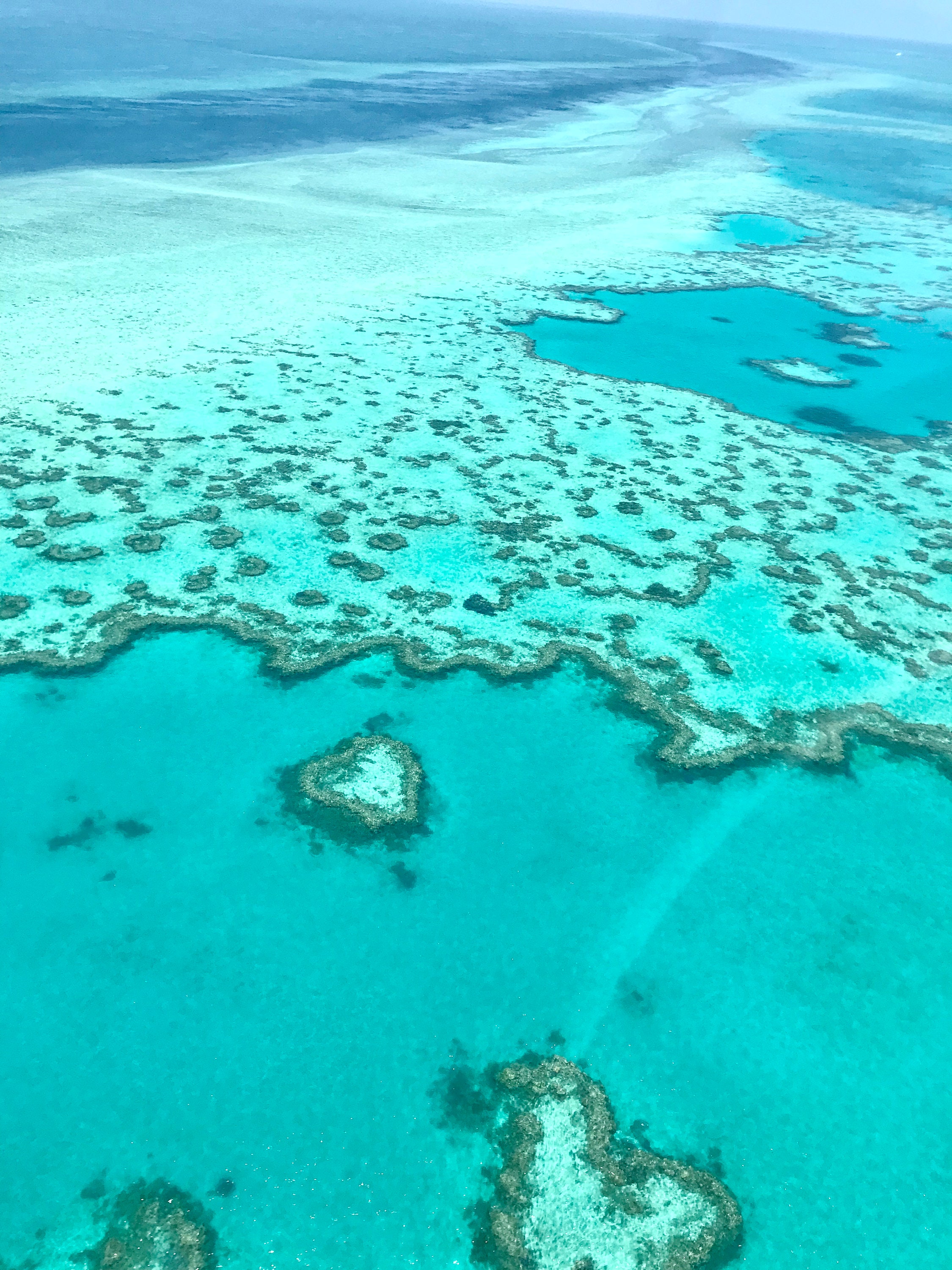 Heart Reef At The Great Barrier Reef Of The Whitsundays Etsy Uk
