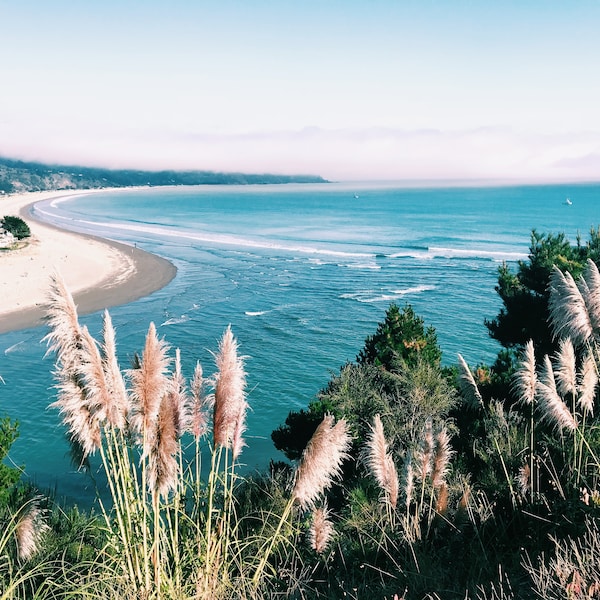 Stinson Beach Art Etsy