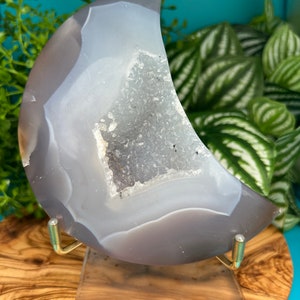 May include: A gray and white agate geode carved into a crescent moon shape. The geode has a large, open cavity filled with sparkling crystals. The geode is displayed on a wooden stand with a clear acrylic base.