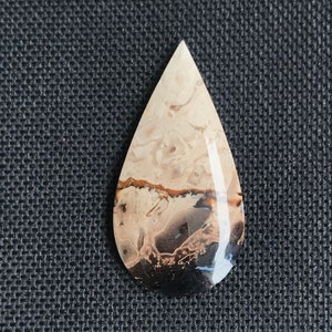 AGATE Petrified palm wood cabochon - natural - beige brown colored - from Java - Indonesia - Gemstone cabochon - mirror polished - 4.6 g