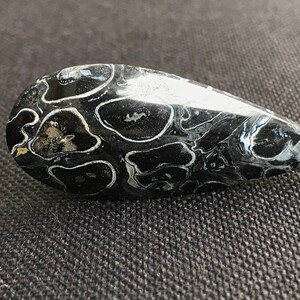 Petrified Fossilized Palm Root Cabochon - Natural - Java - Indonesia - amazing - both sides mirror polished - black-white colored - 6.9 g