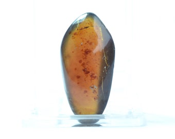 Blauer Bernstein Cabochon: Handgeschnitzter indonesischer Edelstein (4.3 g)