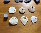 RESERVED for Kylin - Pseudomorphs and Nummulite