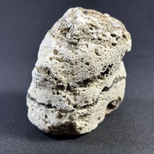 Puede incluir: Una roca porosa blanca y gris con vetas negras. La roca tiene una superficie rugosa y texturizada.