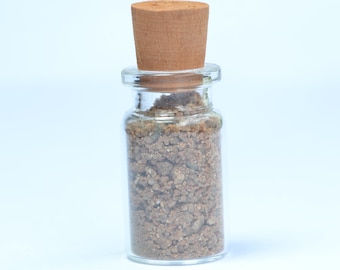 Atacama Desert Sand Sample: Paranal El Medano, Chile (13.2g)