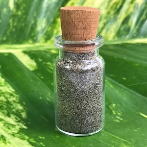 PACITAN PANTAI Telengria - beach sand sample - from Pacitan - Java- Indonesia - Natural - self collected - amazing specimen -  gray - 11.8 g