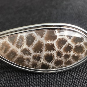 Puede incluir: Un colgante de plata con un diseño de coral fosilizado. El coral es de color marrón claro con un patrón blanco.