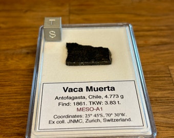 Meteorite VACA MUERTA - Mesosiderite A1 - found 1861 in Chile - TKW 3.83 t - historical meteorite - amazing part slice - 4.77 g