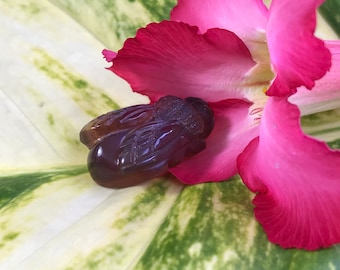 BIENE - geschnitzt aus blauem naturbelassenem BERNSTEIN aus Indonesien - Sumatra - handgefertigt - absolut einzigartig - poliert - orange-bronzefarben - 3,9 g