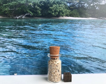 Prov av Fijisand: King Charles Beach, Taveuni Island (12 g)