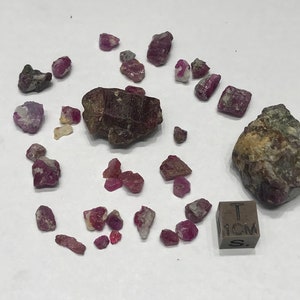 Peut inclure: Une collection de cristaux de rubis bruts de différentes tailles et formes. Les cristaux sont de couleur rouge foncé et ont une finition naturelle non polie. Une petite règle est incluse pour l'échelle, montrant que les cristaux mesurent moins de 1 cm.