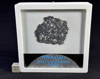 NWA 11421 Lunar Meteorite Slice: Feldspathic Breccia Moon Rock (1.982 g)