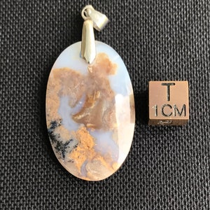 Può includere: Un ciondolo in agata bianco, marrone e nero con una balla d'argento. Il ciondolo è di forma ovale e misura circa 2,5 cm di lunghezza.