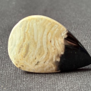 Petrified Palm Root Cabochon - Hand Polished - Fossil Gemstone from Indonesia - for Collectors and Jewelry Designers - natural - 7.8 g