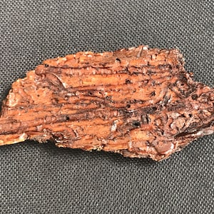 Può includere: Un pezzo di corteccia marrone con una superficie ruvida e testurizzata. La corteccia ha un aspetto e una sensazione naturali e organici.