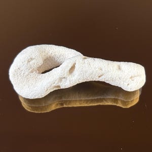 Puede incluir: Un objeto orgánico beige claro y poroso con un bucle y un extremo redondeado. El objeto se refleja en una superficie marrón. El objeto parece ser un trozo de coral o un material natural similar. El objeto probablemente se utiliza con fines decorativos.
