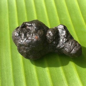 Op de afbeelding: Een donkere, onregelmatig gevormde steen met een ruw, getextureerd oppervlak. De steen heeft een diepe, bruin-zwarte kleur en lijkt een natuursteen te zijn. Hij ligt op een groene, getextureerde ondergrond.