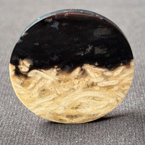 Petrified Palm Root Cabochon - Hand Polished - Fossil Gemstone from Indonesia - for Collectors and Jewelry Designers - natural - 8.5 g
