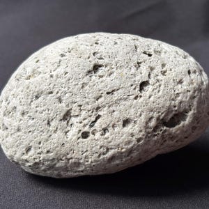 Puede incluir: Una piedra porosa de color gris claro con forma redondeada. La superficie está texturizada con numerosos agujeros y hendiduras pequeñas. La piedra parece ser una roca natural y erosionada, posiblemente piedra pómez o una piedra volcánica similar.
