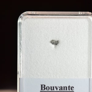 BOUVANTE Meteorite - Eucrite - found 1978 in France - micro fragment - weight: 0.014 g - rare !