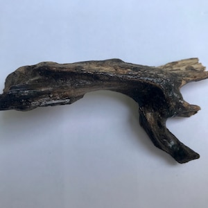 DRIFTWOOD Art - Incredibile grande e bellissimo esemplare naturale - forma interessante - da Pacitan - Giava centrale - Indonesia - Oceano Indiano 10,3 g