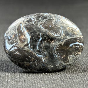 PALM ROOT - Petrified Fossilized Palm Root cabochon - Natural - Java - Indonesia - both sides mirror polished - black colored - 6.2 g